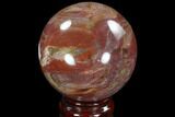 Colorful Petrified Wood Sphere - Madagascar #92390-1